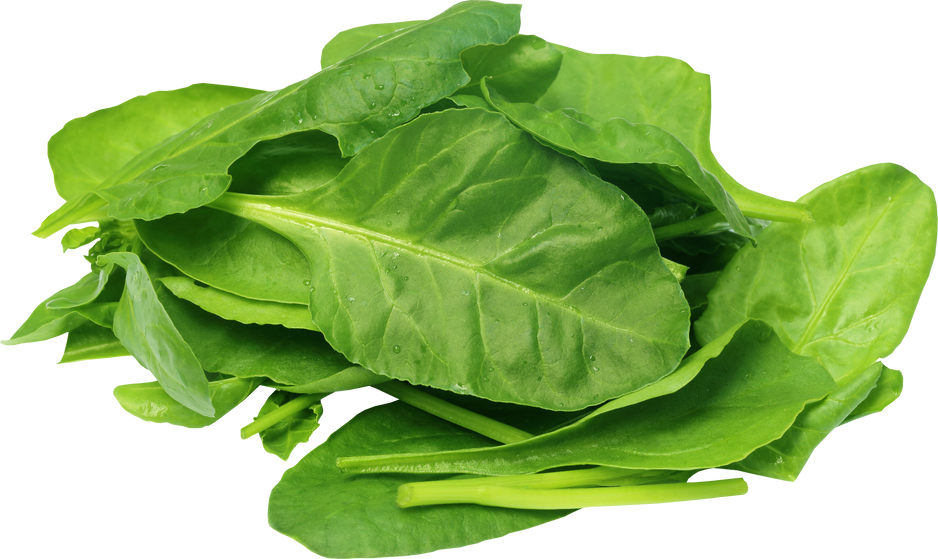 Fresh Spinach